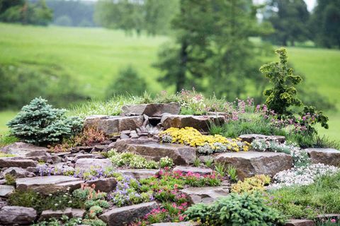 RHS Chatsworth Flower Show 2017 aujourd'hui (mardi 6 juin 2017) Jackie Knight's Just Add Water