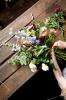 6 belles fleurs pour créer le bouquet d'amitié ultime