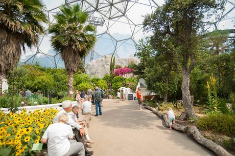 Les visiteurs d'Eden Project à l'intérieur de l'un des dômes