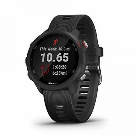 Garmin Précurseur 245