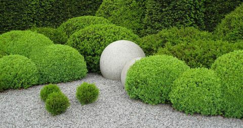 jardin-tendances-balles-box