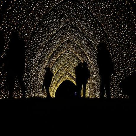 aperçu des installations lumineuses de noël à kew