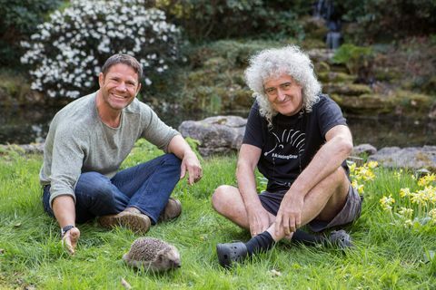 Steve Backshall, Brian May, sauver les hérissons britanniques