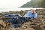 Sir David Attenborough soutient l'initiative Plastic Watch de la BBC après l'impact «étonnant» de Blue Planet II