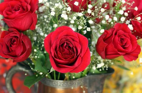 Gros plan de roses rouges dans un vase