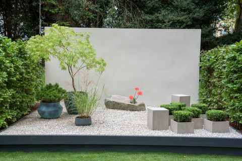 rhs chelsea flower show 2021 jardins en conteneurs