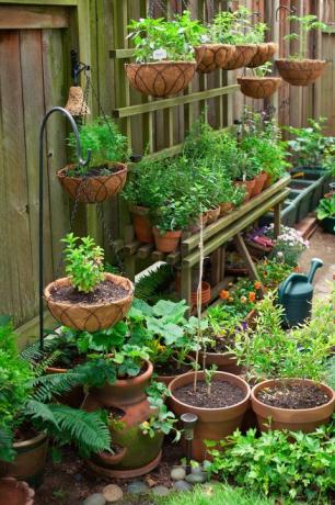 Jardinage en conteneurs