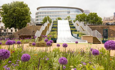 superbe floraison à la tour de londres