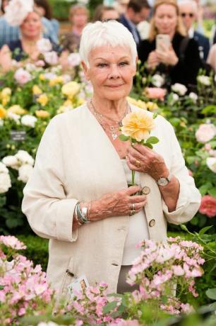 Judi Dench assiste à la journée de la presse du RHS Chelsea Flower Show 2017