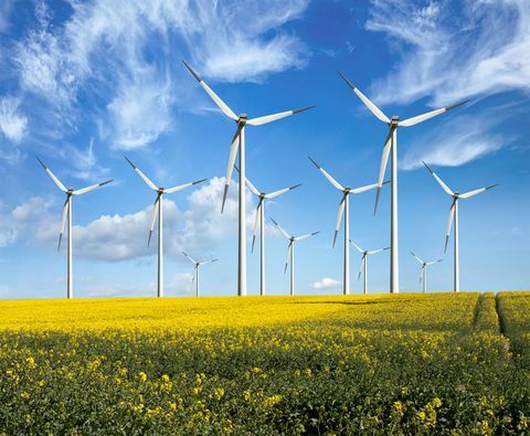 Éoliennes respectueuses de l'environnement - énergies renouvelables - dans les champs de fleurs jaunes