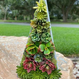 Faux arbre de Noël succulent