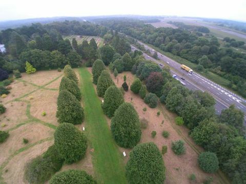 RHS Garden Wisley arbres