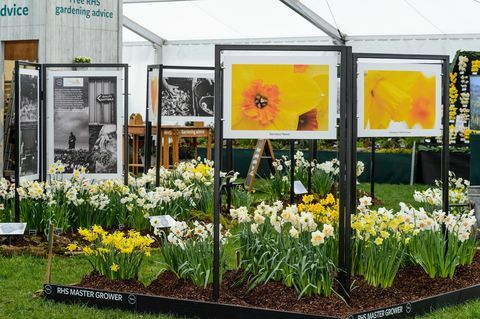 Exposition florale de Cardiff 2019