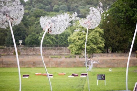 RHS Chatsworth Flower Show 2017 aujourd'hui (mardi 6 juin 2017)