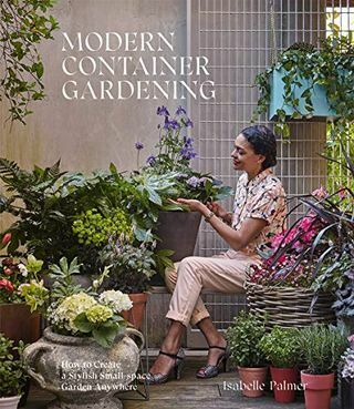 Jardinage en conteneur moderne: comment créer un jardin élégant dans un petit espace n'importe où