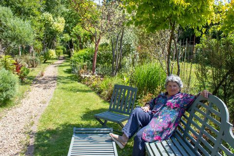 jardin de l'année jardin à thème méditerranéen dans la maison mitoyenne du nord de londres