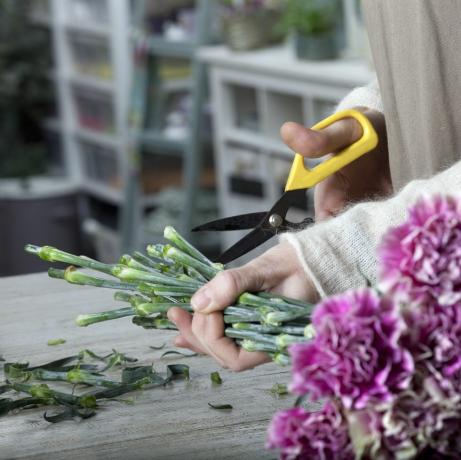 Fleuriste coupant une fleur avec un sécateur