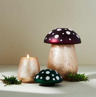 Bougie Champignon