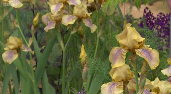 chelsea flower show 2023 jardin de paysages nourriciers conçu par sarah price