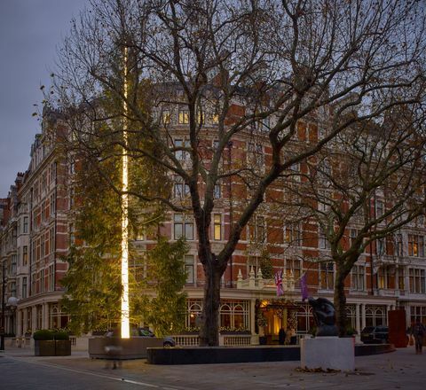 L'arbre de Noël Connaught 2016 d'Antony Gormley est dévoilé aujourd'hui à Mayfair