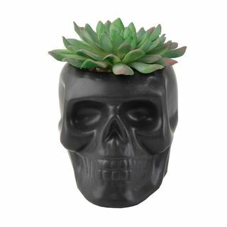 Crâne en céramique noire mate succulente