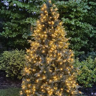 Le pin boisé d'extérieur pré-illuminé de 6 pieds