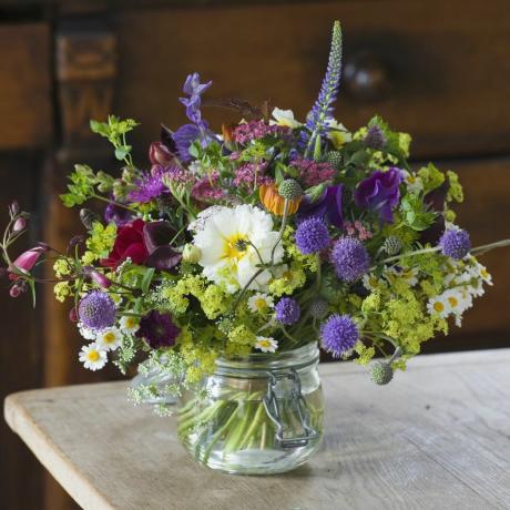 Fleurs de ferme commune, Somerset