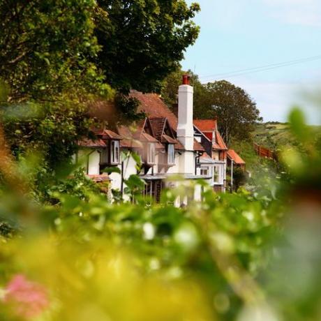 maisons dans un paysage rural