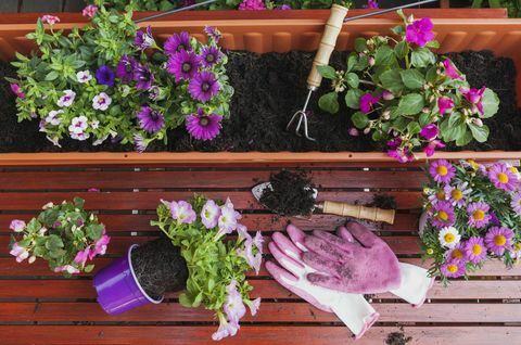 Jardinière de fenêtre au printemps