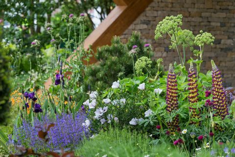 Le jardin Morgan Stanley. Conçu par: Chris Beardshaw. Parrainé par: Morgan Stanley. RHS Chelsea Flower Show 2017.