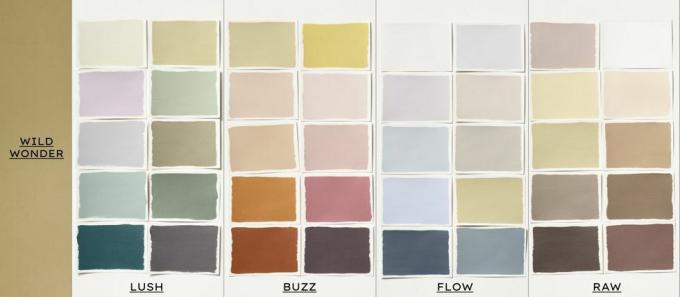 la couleur de l'année 2023 de dulux palettes de couleurs