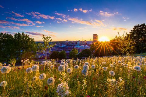 Coucher de soleil à Sheffield