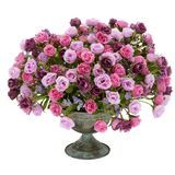 Bouquet de poussière d'étoile violette