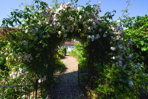 Cottage rose pittoresque dans le village Norfolk de Stanhoe