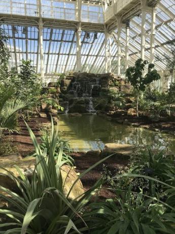 Maison tempérée, Kew Gardens