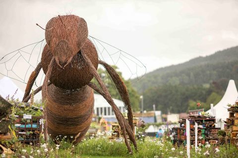 RHS Chatsworth Flower Show 2017 aujourd'hui (mardi 6 juin 2017) Concours scolaire RHS - Bug Hotels