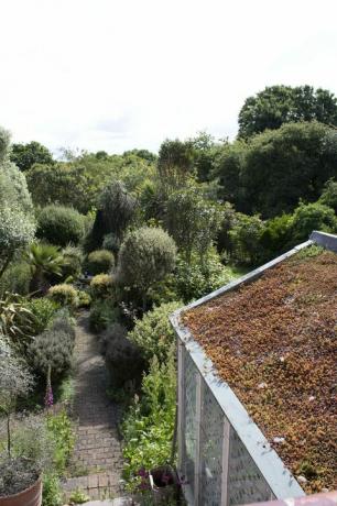 le jardin méditerranéen de more4, candidat au jardin de l'année, dans le nord de londres