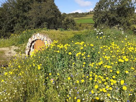 rester dans une maison de hobbits au pays de galles