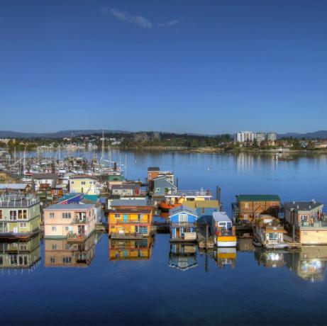 Péniches à Fisherman's Wharf à Victoria BC