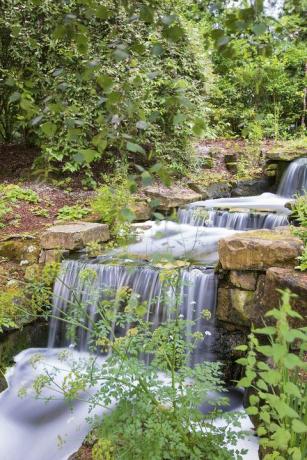 jardins du palais de Buckingham révélés dans un nouveau livre