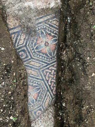 Sol en mosaïque à motifs découvert sous un vignoble en Italie