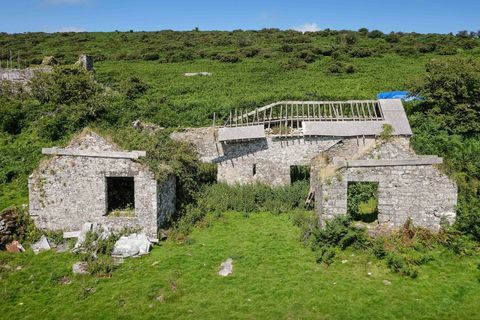 Canaglaze - propriété - Cornwall - Bodmin Moor - abandonné - Poldark