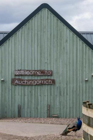 Parc animalier à vendre en Ecosse 