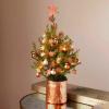 Bloom & Wild vend de nouveaux arbres de Noël pour boîtes aux lettres pour 2019
