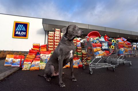 Aldi - Gamme Pet Event - nourriture