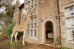 Des girafes se joindront à vous pour le petit-déjeuner par une fenêtre dans ce charmant manoir