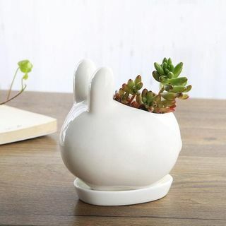 Pot de fleur en céramique de lapin Jardinière en céramique succulente 