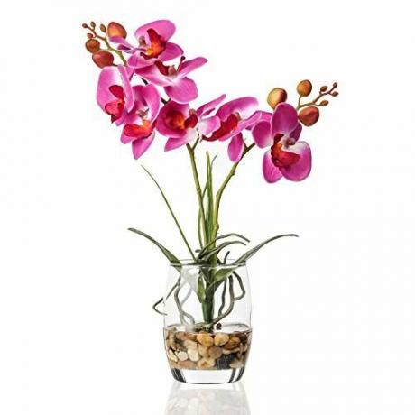 Orchidée dans un vase en verre 