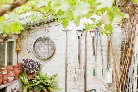 Outils accrochés au mur de l'abri de jardin