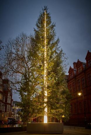 L'arbre de Noël Connaught 2016 d'Antony Gormley est dévoilé à Mayfair